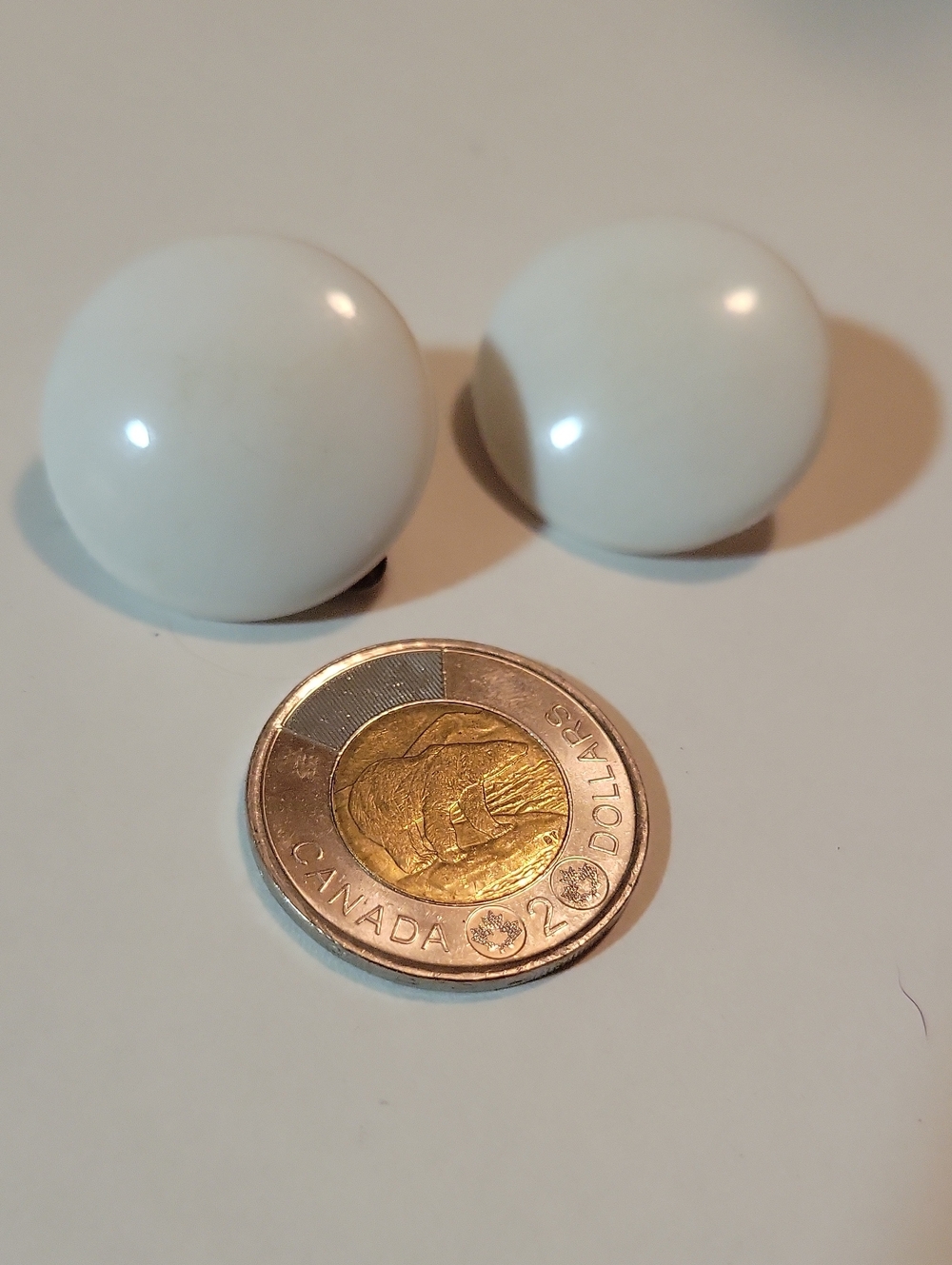 Classic Round White Dome Earrings